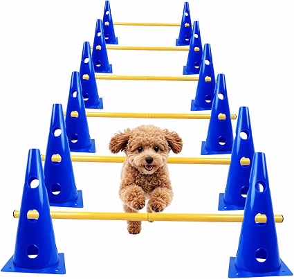 KEAGAN 6 Piece Dog Agility Equipment Set